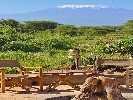 Tulia Amboseli Safari Camp