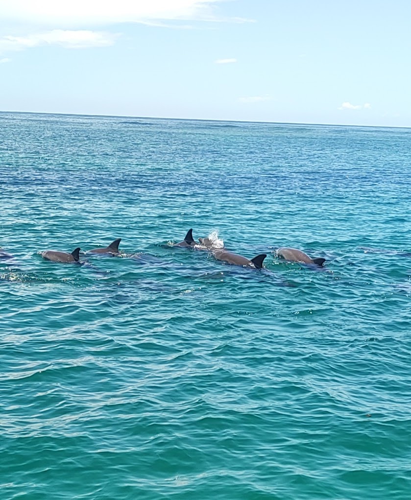 Kisite-Mpunguti Marine National Park