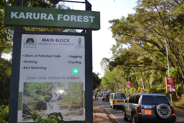 Karura Forest