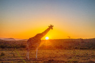 Oserengoni Wildlife Sanctuary