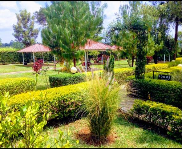 Jabali Country Lodge