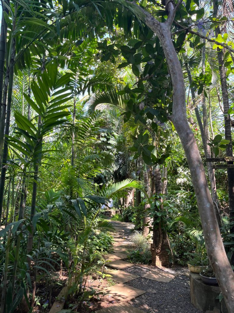 Pabaris Paradise