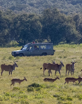 Oserengoni Wildlife Sanctuary