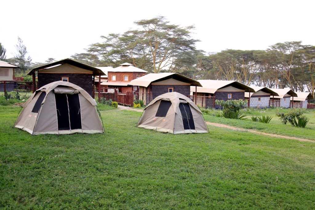 Naivasha West Beach Camp