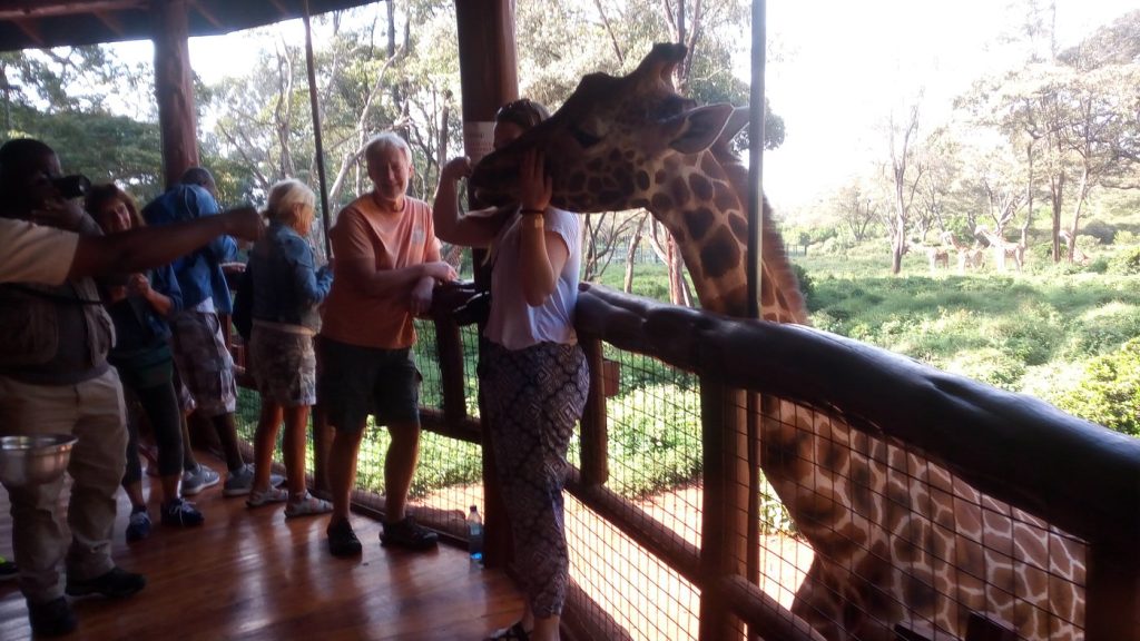 Giraffe Centre