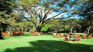 Kiboko Luxury Camp