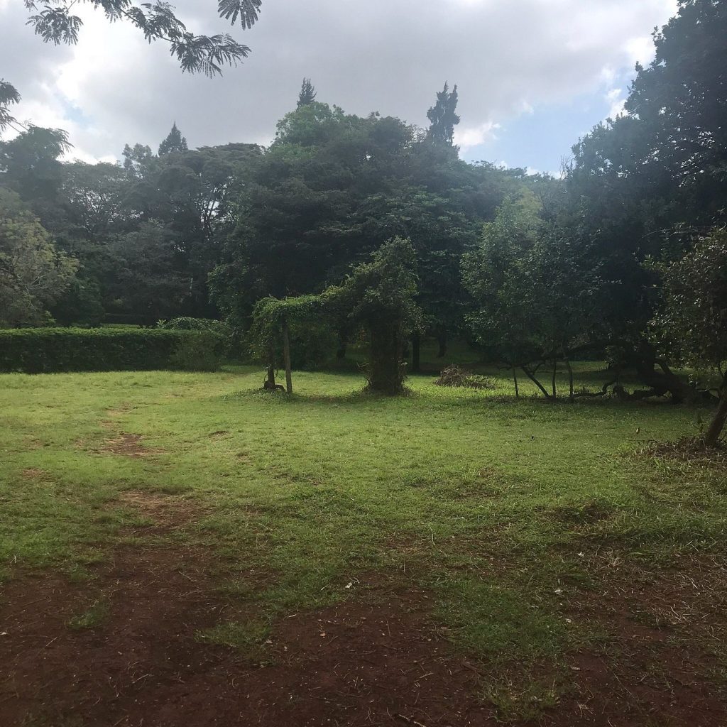 Nairobi Arboretum