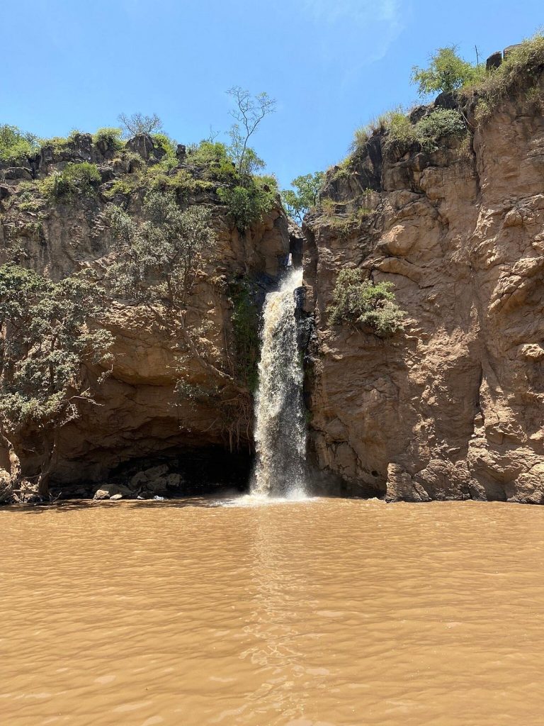 Rock Hyrax Hotel