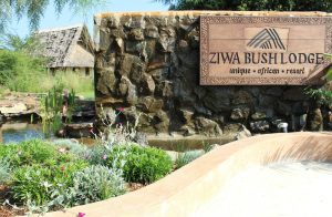 Ziwa Bush Lodge