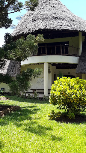 Palm Dream Villa