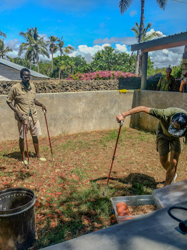 Watamu Snake Farm