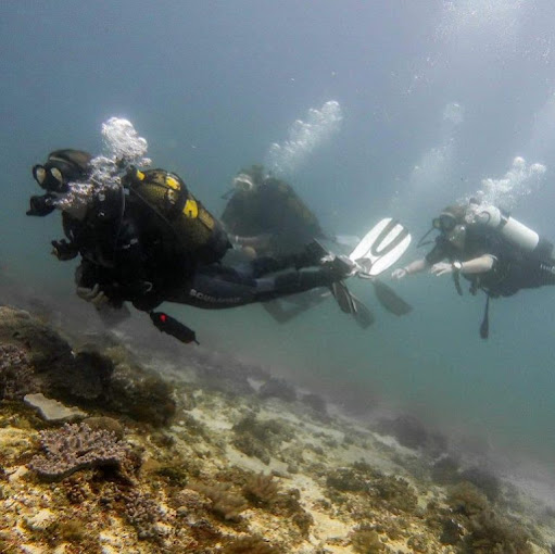Ocean Tribe – 5 Star Scuba Diving Centre