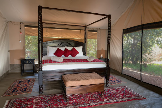 Hammerkop Migration Camp
