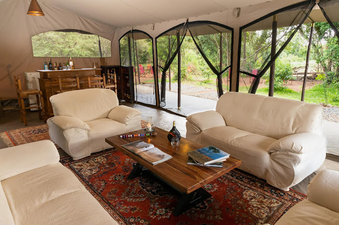 Hammerkop Migration Camp