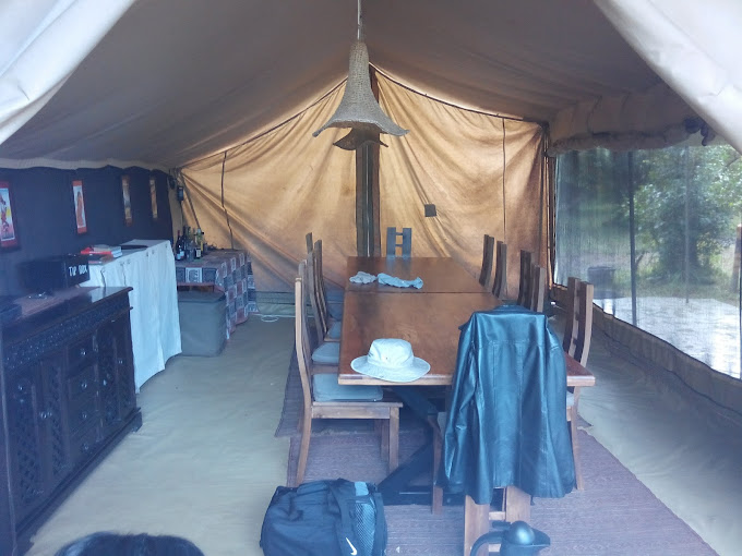 Hammerkop Migration Camp