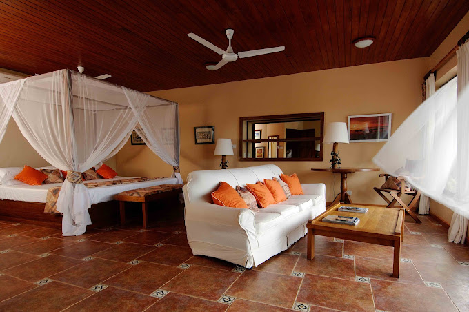 Flamboyant Diani