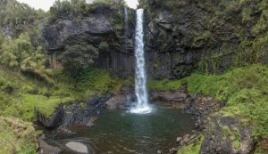 Aberdare National Park