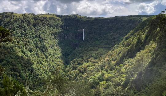 Aberdare National Park