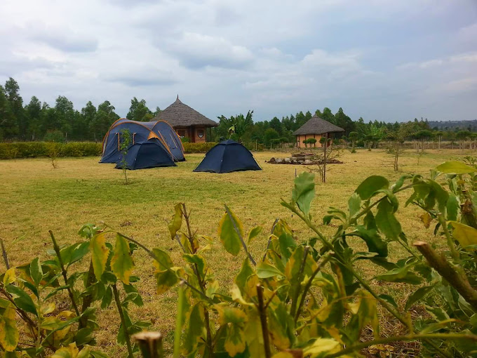 The Great Circle Lodge