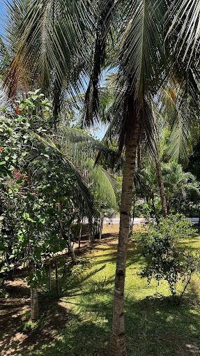 Sandies Malindi Dream Garden