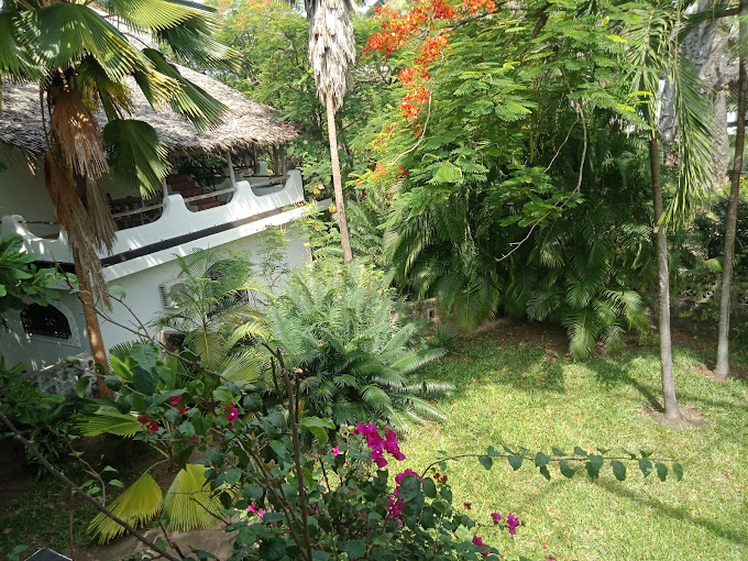 Kongo river (shambani) bungalows