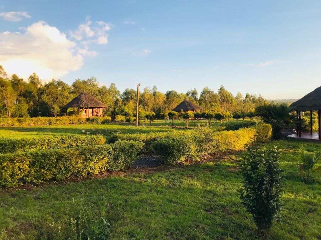 The Great Circle Lodge