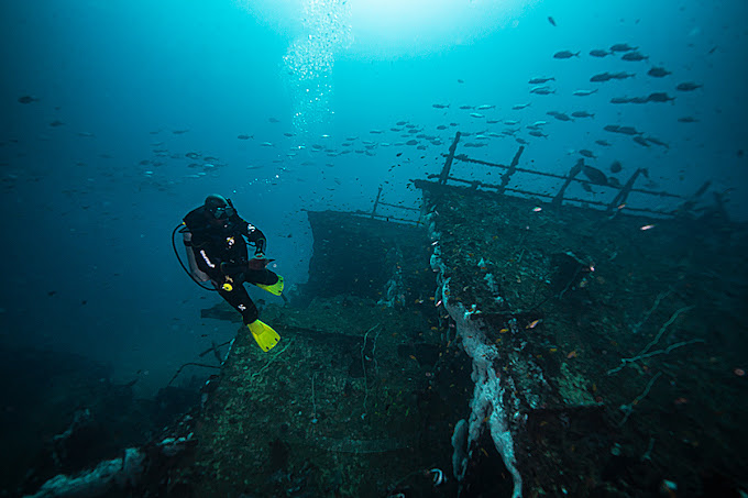 Yellow Fins Diving Kenya