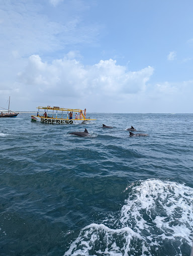 Watamu National Marine Park