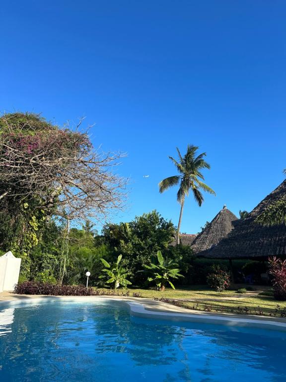 Palm Dream Villa
