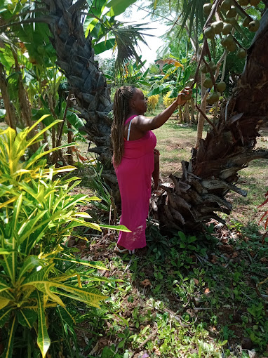 Bahati Diani House Glamping