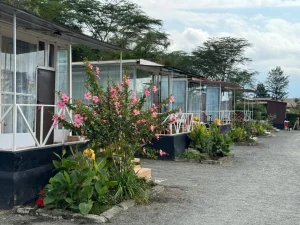 Hippo Watch Glass Cabins