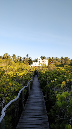 Boardwalk House