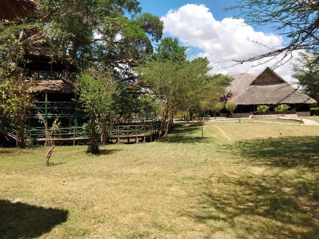 Mara Sweet Acacia Lodge