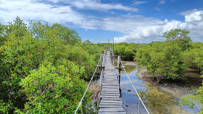 Mida Creek