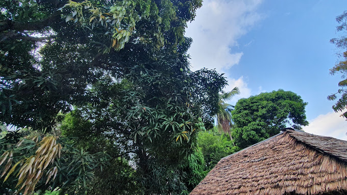 Bahati Diani House Glamping
