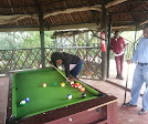 Giraffe Ark Game Lodge