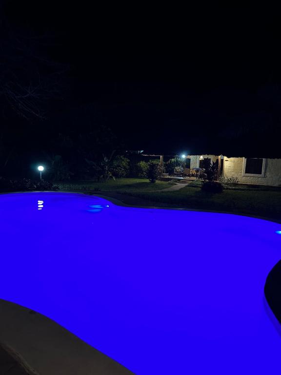 Palm Dream Villa