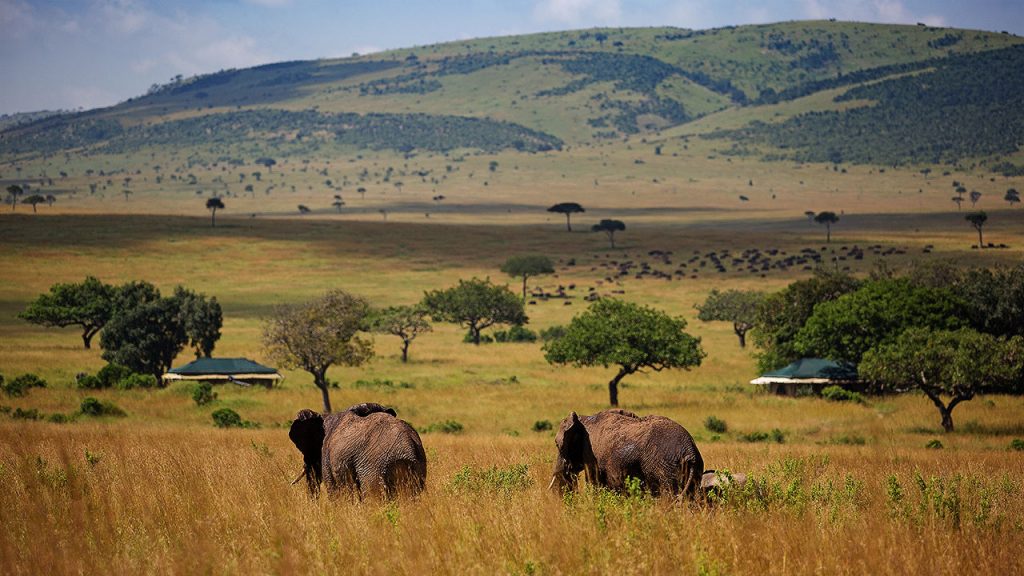 Elewana Sand River Masai Mara