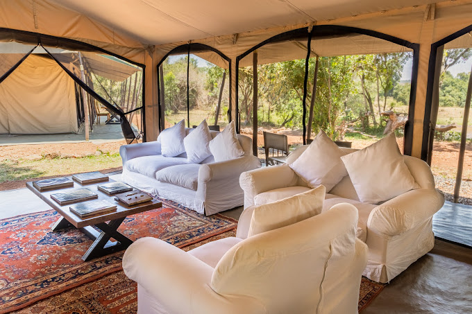 Hammerkop Migration Camp