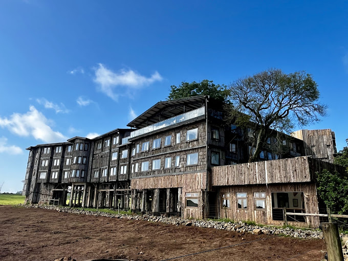 The Treetops Lodge