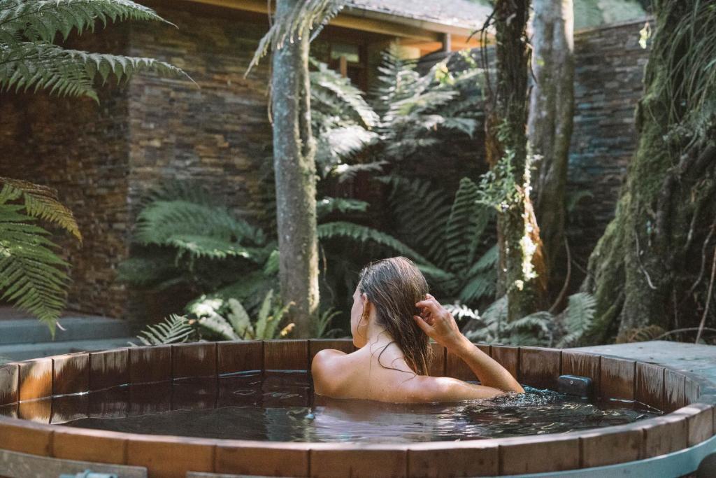 The Treetops Lodge