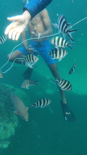 Watamu National Marine Park