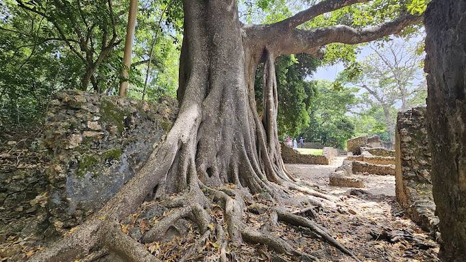 Gedi Ruins Malindi