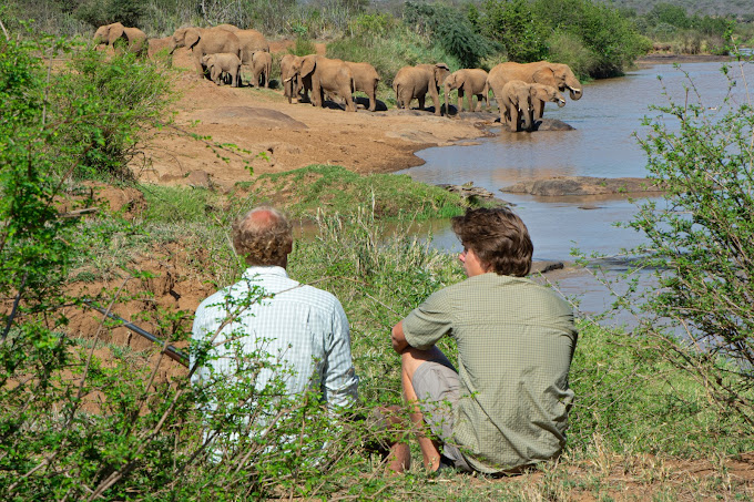 Laikipia Wilderness Camp