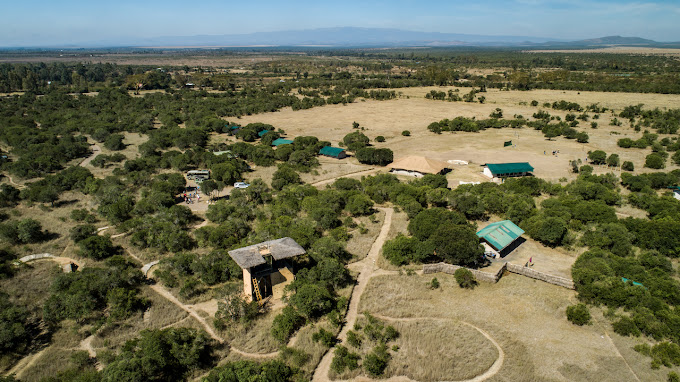 Rift Valley Adventures Wildlife Camp