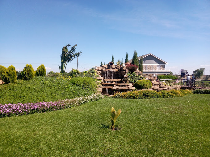 Bustani Gardens