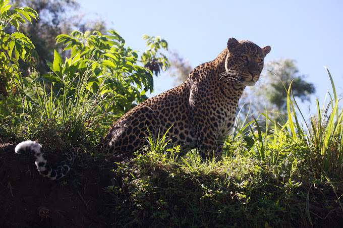 Mukutan Conservancy