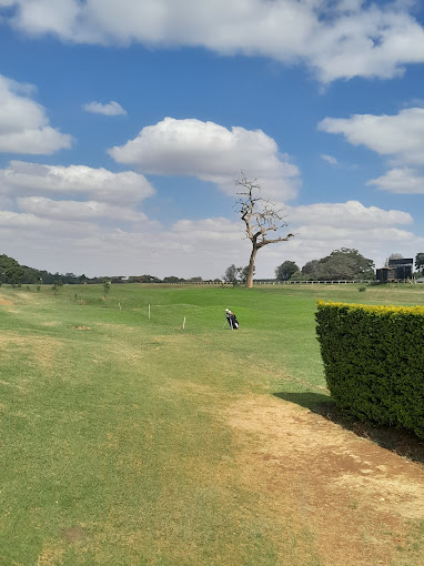 Golf Park