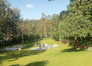 Turitu gardens