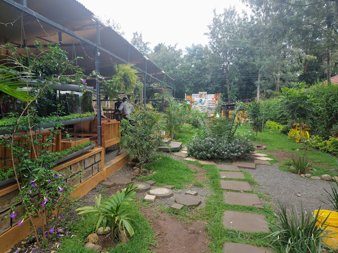 Rustic Haven Rongai
